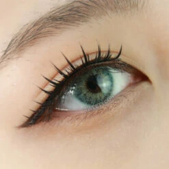 Sweety Extra Party Green -Cosplay Costumes Sales Shop Artboard5copy5 80 3be6154e 88c4 441a b169 5faf72215202