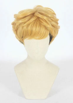 Cosplay Wig - Kyou Kara Ore Wa-Takashi Mitsuhashi -Cosplay Costumes Sales Shop CS 397A c