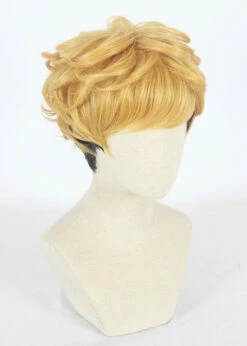 Cosplay Wig - Kyou Kara Ore Wa-Takashi Mitsuhashi -Cosplay Costumes Sales Shop CS 397A d