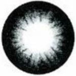 Dolly Eye Pop C Dark Grey