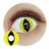 Kazzue Crazy Lens With Power - Cat Eyes -Cosplay Costumes Sales Shop F05 3 eye 3a2b4424 c4b6 4da5 87e6 af838a8e088c