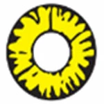 Sweety Crazy Twilight Werewolf 6 Sweety Crazy Twilight Werewolf - Image 4