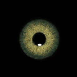 Sweety Magnificent Amazonia Green -Cosplay Costumes Sales Shop FA15 2 3