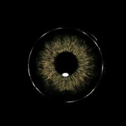 Sweety Magnificent Devil's Triangle Black -Cosplay Costumes Sales Shop FA15 H 3