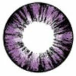 Barbie Forest Violet