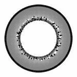 I.Fairy Moonlite Grey