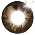 I.Fairy Eclipse Brown