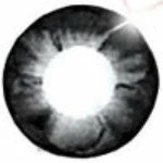 I.Fairy Eclipse Grey