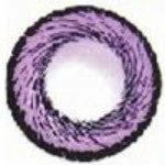 Barbie Hanabi Violet