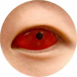 Sweety Sclera Contacts - Wine Red