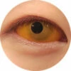 Sweety Orange Sclera Contacts 1 Sweety Orange Sclera Contacts -Cosplay Costumes Sales Shop IMG 8350
