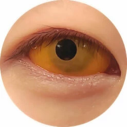 Sweety Orange Sclera Contacts