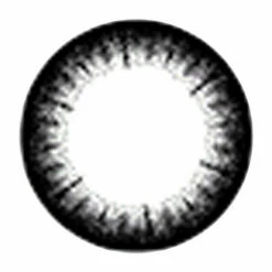 MiaCare 1-Day Confidence Color - 1 Tone -Cosplay Costumes Sales Shop Imperial black lens