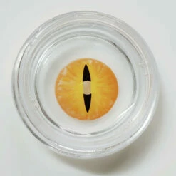 Sweety Crazy Orange Demon Eye / Cat Eye (New) -Cosplay Costumes Sales Shop New cat eye orange lens