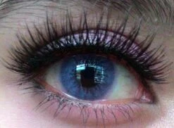 Western Eye Solotica Violet -Cosplay Costumes Sales Shop Sweety solotica violet a