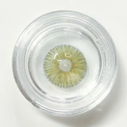 Urban Layer Angeles New Grey -Cosplay Costumes Sales Shop UL Angeles N grey Lens