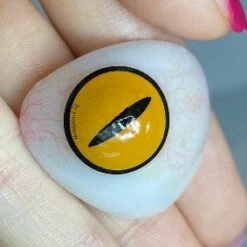 Sweety Crazy Gold Demon Eye 8 Sweety Crazy Gold Demon Eye -Cosplay Costumes Sales Shop WhatsAppImage2020 12 15at2.53.03PM