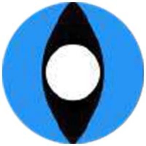 Sweety Crazy Aqua Cat 5 Sweety Crazy Aqua Cat - Image 3