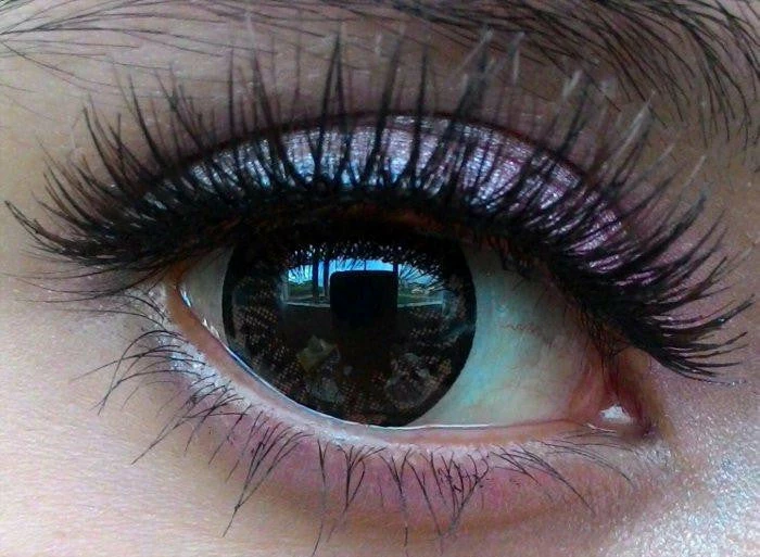 Barbie Clovis Brown 5 Barbie Clovis Brown - Image 3