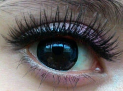 Barbie Clovis Violet -Cosplay Costumes Sales Shop barbie clovis violet a 42d1e93c 3231 460d 8bb7 9a1930268c46