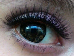 Barbie Diamond 2 Tones Brown -Cosplay Costumes Sales Shop barbie diamond 2 tones brown a c879aa98 2f9b 4528 bca2 24c129defe61