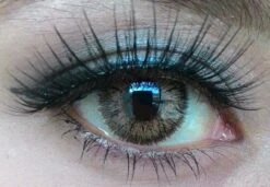 Barbie Hybrid Brown -Cosplay Costumes Sales Shop barbie hybrid brown a b49c69bb 0915 4499 8536 e501fd40018c