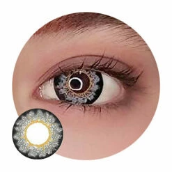 New Release 6 Sweety Butterfly Grey