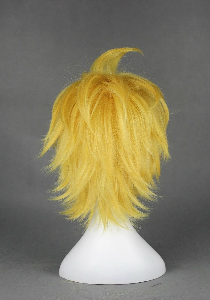 Cosplay Wig - Kingdom Hearts - Ventus 5 Cosplay Wig - Kingdom Hearts - Ventus - Image 3