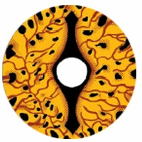 Sweety Crazy Game Of Thrones - Dragon Eyes