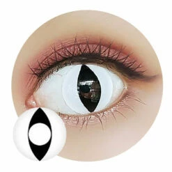 Sweety Crazy White Cat