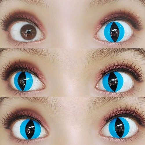 Sweety Crazy Aqua Cat 4 Sweety Crazy Aqua Cat - Image 2