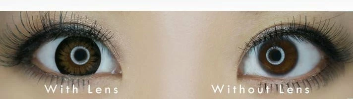 Kazzue Classic Brown 4 Kazzue Classic Brown - Image 2