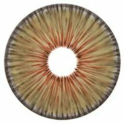 Urban Layer New York Hazel - NEW -Cosplay Costumes Sales Shop new york hazel