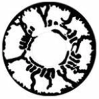 Sweety Crazy Broken Doll