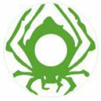 Sweety Crazy Green Spider