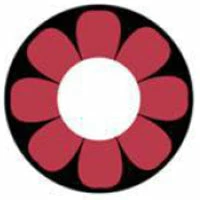 New Release 19 Sweety Crazy Pink Flower