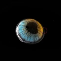 Sweety Anime Shining Heart Blue Brown 10 Sweety Anime Shining Heart Blue Brown -Cosplay Costumes Sales Shop shiningheartsblue