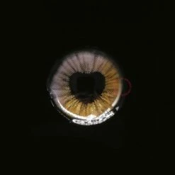 Sweety Anime Shining Heart Violet Brown -Cosplay Costumes Sales Shop shiningheartspurple02