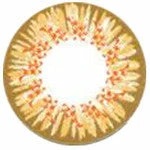 Western Eyes Frozen Brown