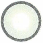 Western Eye Ringcon Sky Grey