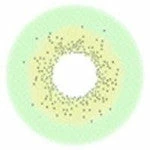 Urban Layer Celine Green - Aka Batis Green