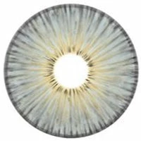 Urban Layer New York Grey