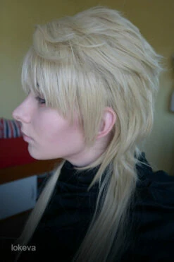 Cosplay Wig - JoJo's Bizarre Adventure - Dio Brando 10 Cosplay Wig - JoJo's Bizarre Adventure - Dio Brando -Cosplay Costumes Sales Shop wig jojos bizarre adventure dio brando cs 177d dlkopriva a